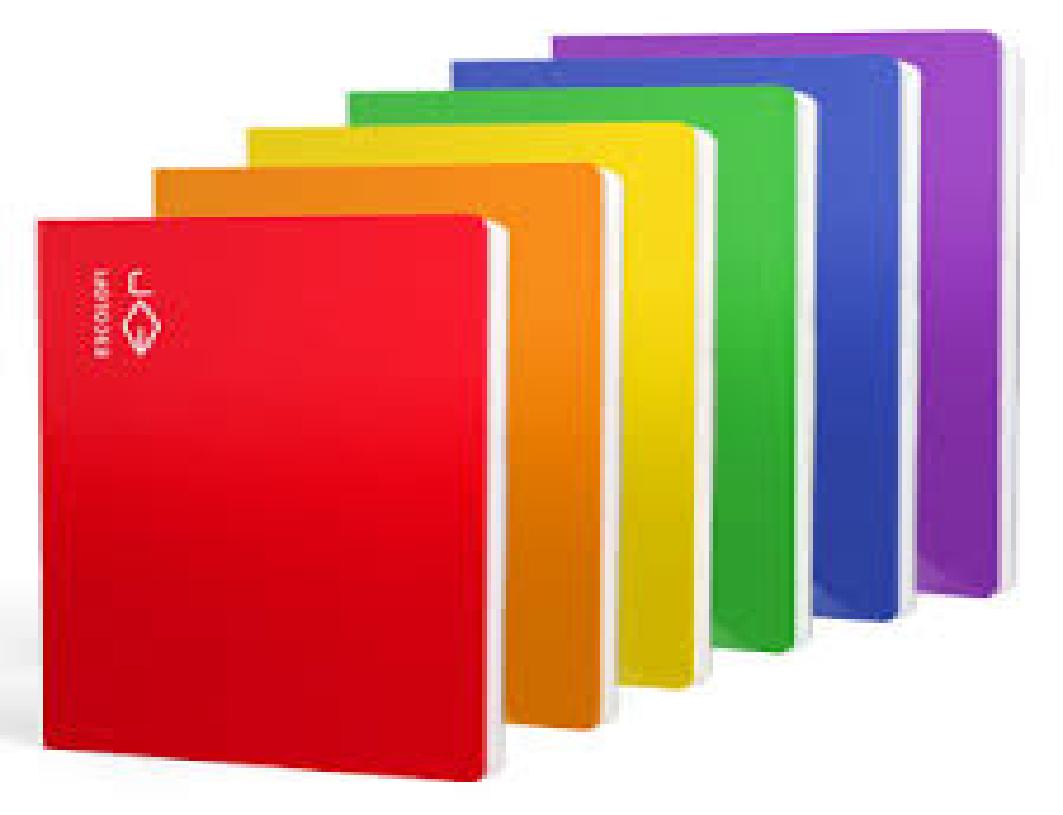 CUADERNO NARANJA GRAPADO ESCOLOFI MILIM. FRANCES